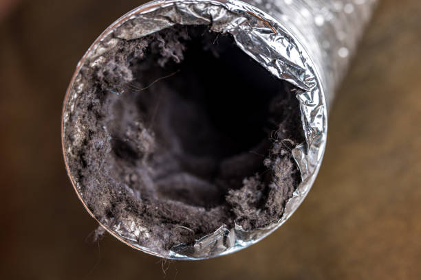 Best Air Duct Cleaning Near Me  in Sugar Land, TX